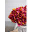 Ensemble de 12 hortensias Almost Real 14 po rose-123449717