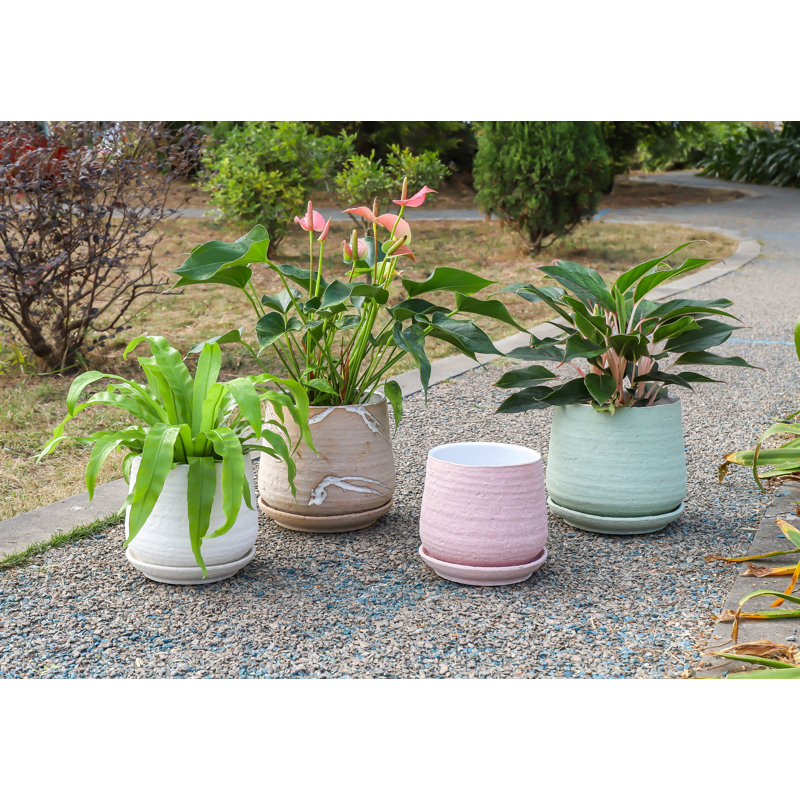 Petit pot en terre cuite roulé à la main avec soucoupe intégrée - Intérieur, P 6,5 po x H 6,5 po (pot simple)