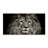 Lion - Wrapped Canvas Print