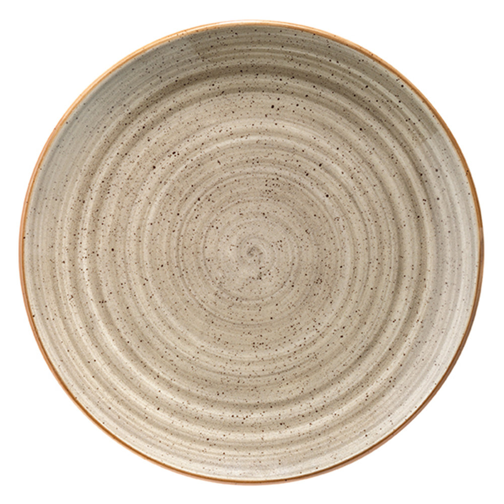 10.5'' Porcelain China Dinner Plate (Set of 4) Turgla Home 