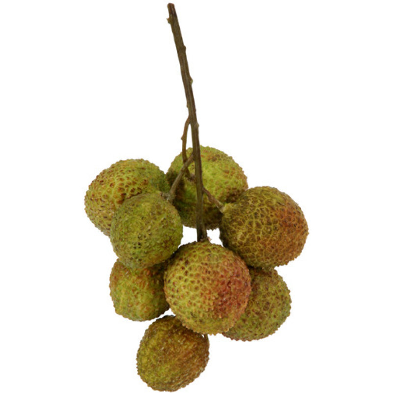 Sculpture de litchi artificiel Drevonte Orpheus
