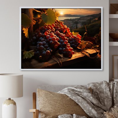 " Vineyard Grapes Harvest Moon Cellars "