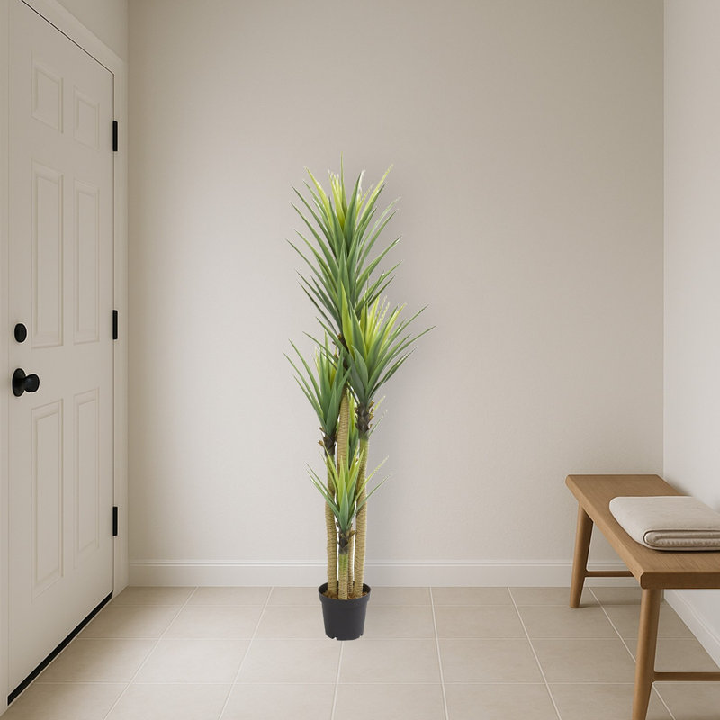 Dracaena Artificial Plant
