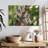 Australian Koala Bears-107922766