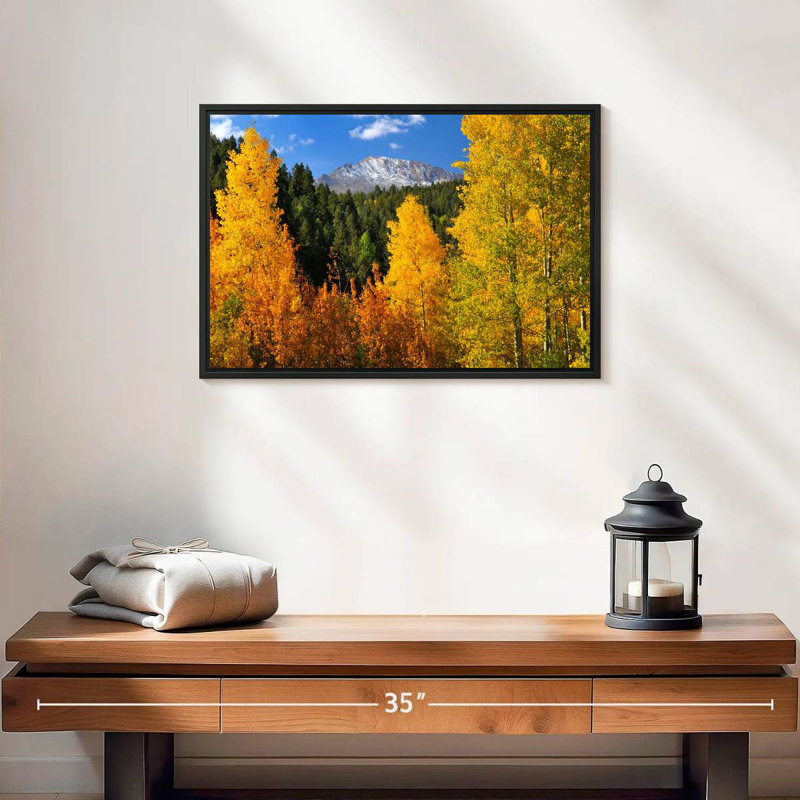 Pikes Peak en automne, 19 po x 13 po, Cadre flottant noir
