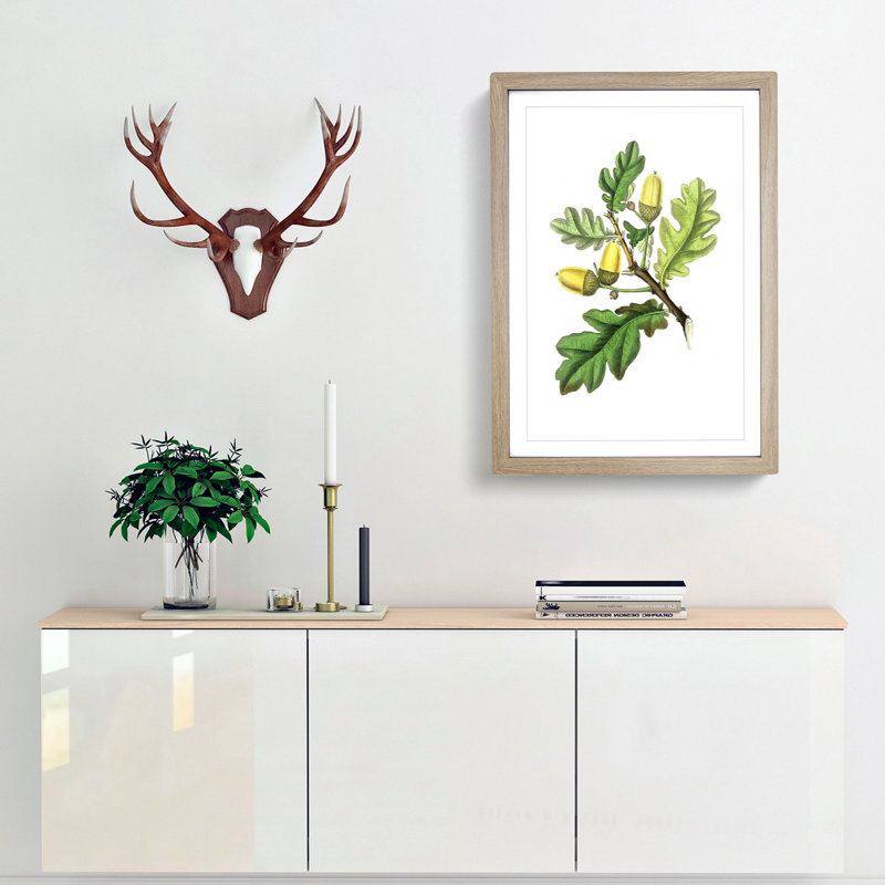 English Oak Tree Illustration - Picture Frame Painting Print, 36cm H x 27cm W x 2cm D, Oak Framed