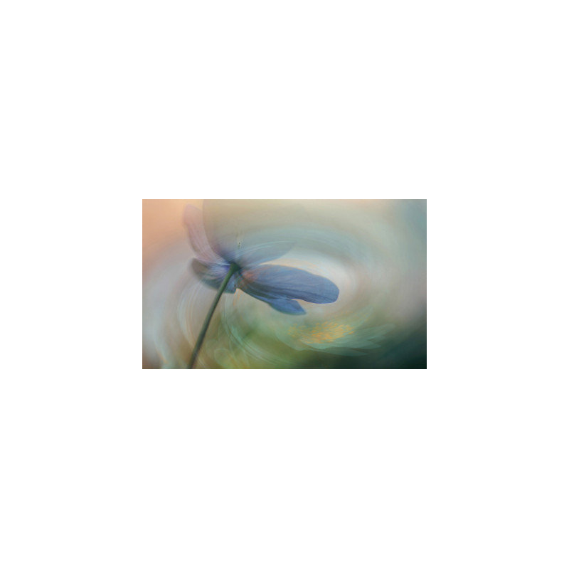Wrapped Canvas Print, 60.96cm H x 91.44cm W