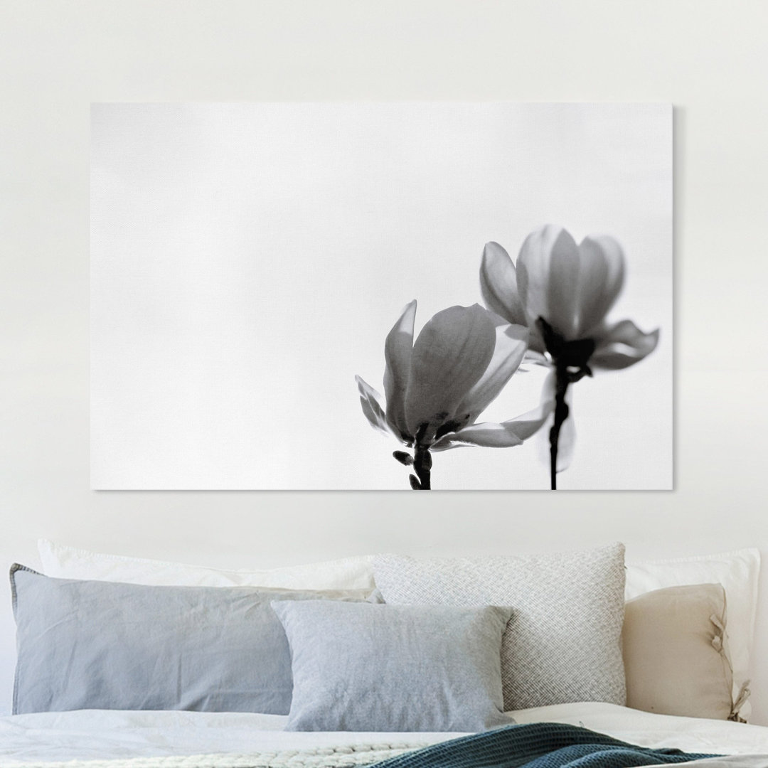 Leinwandbild Frühlingsbote Magnolie