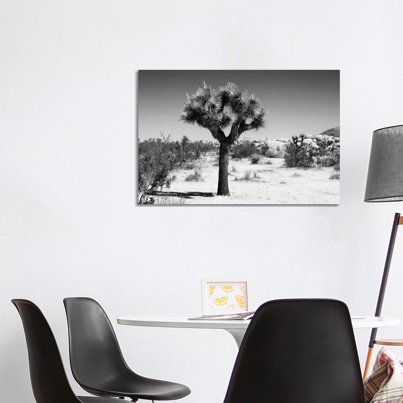 The Joshua Tree II by Philippe Hugonnard - Wrapped Canvas Print, 101.6 cm H x 66.04 cm W x 1.91 cm D