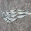 Coastal Animals Wall Decor