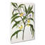 Poroporo Flowers by Sarah Featon - Wrapped Canvas-55322692