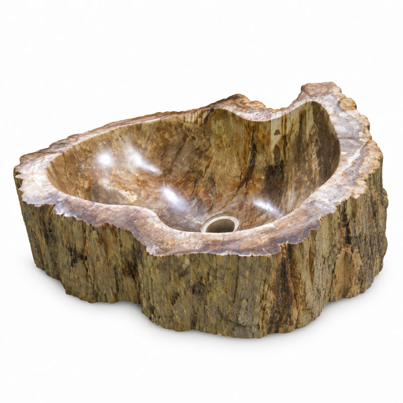 Lavabo en bois pétrifié, naturel