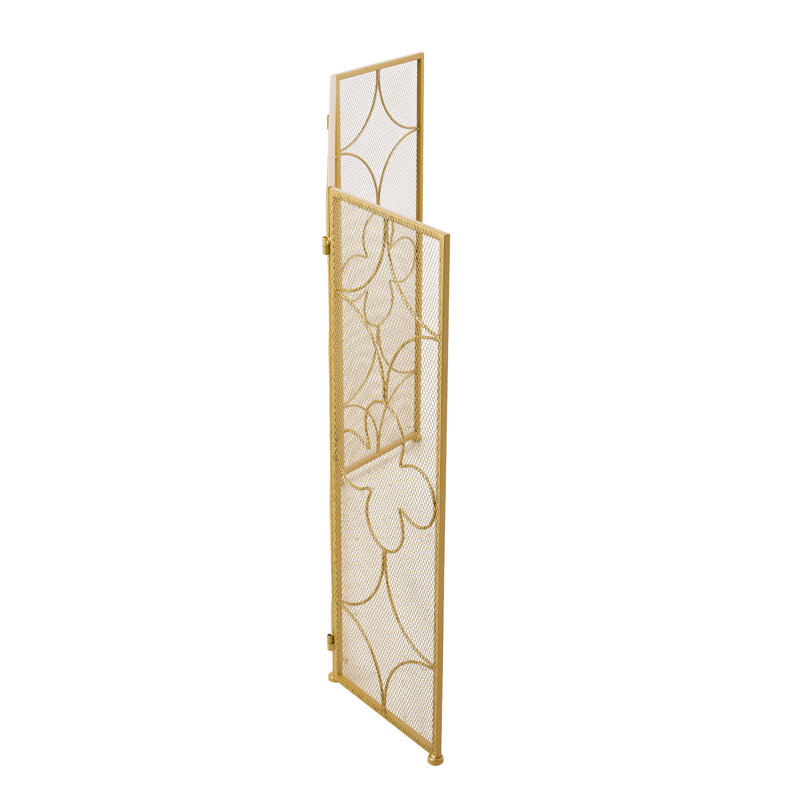 3 Iron Fireplace Door