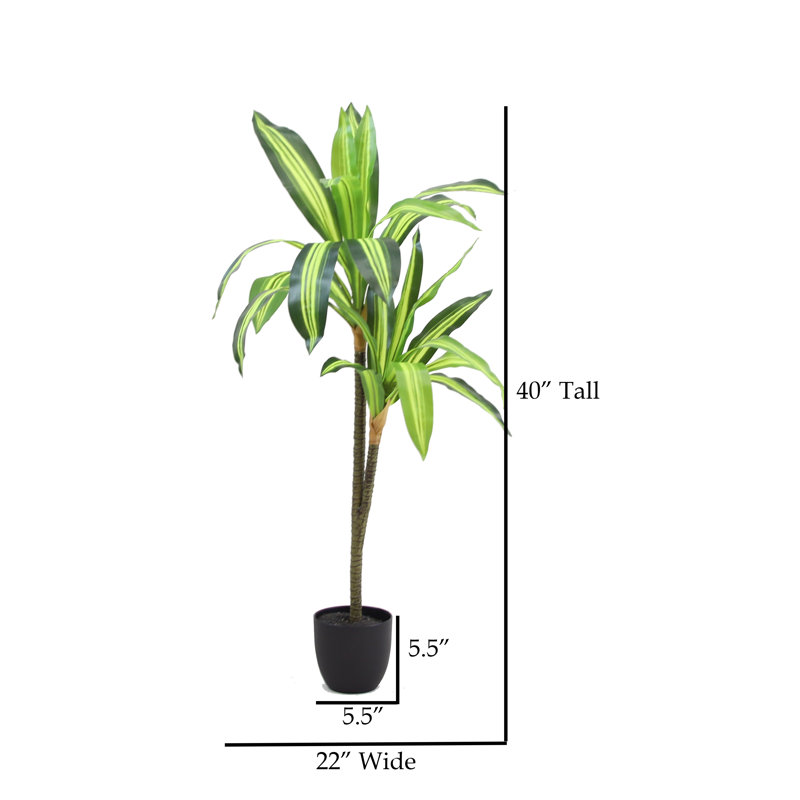 Arbre Dracaena en soie 40 po