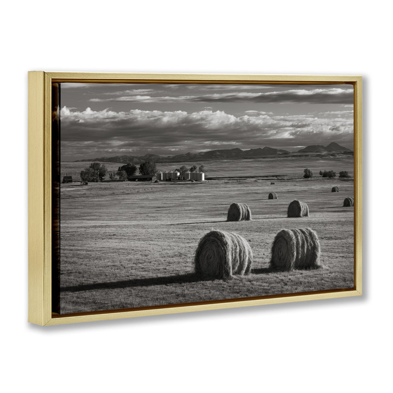 Toile flottante encadrée noire Montana Hay Bales par Alan Majchrowicz, Cadre flottant métallique doré, H 21 po x l 31 po