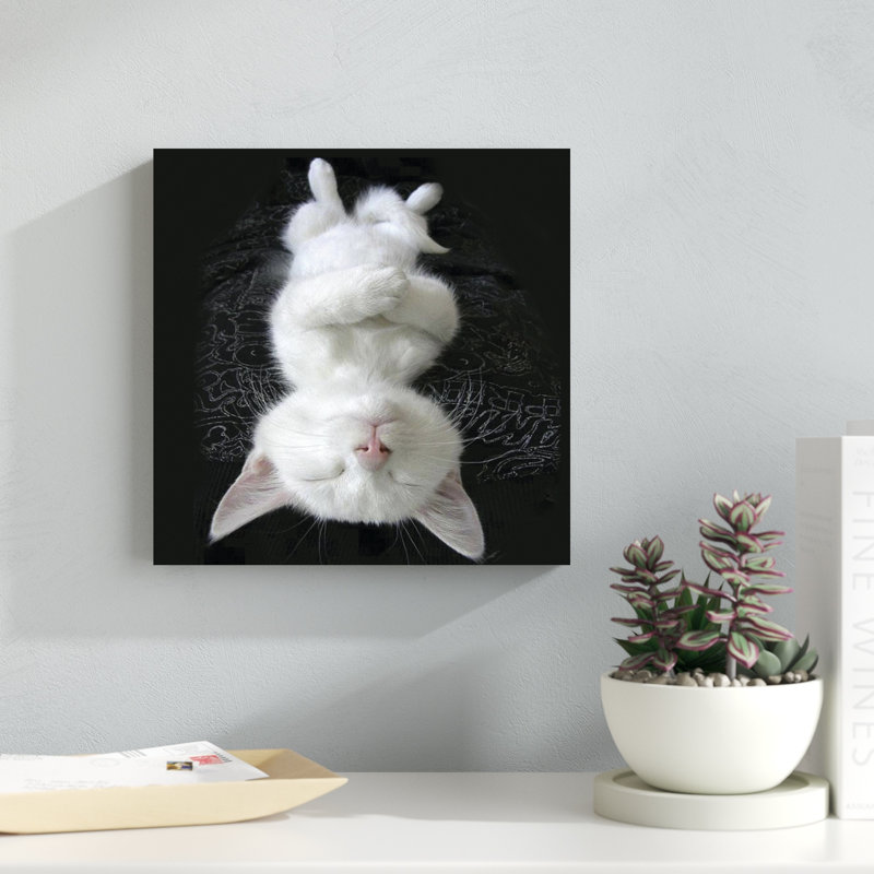 Cat Yoga III, H 12 po x l 12 po