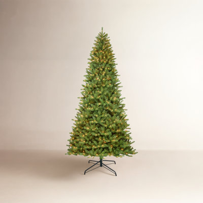 Lighted Fir Christmas Tree