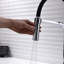 Belfry Kitchen Fuente Pull Down Kitchen Faucet