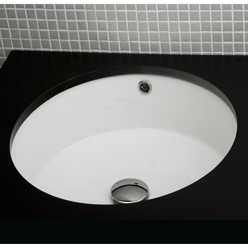 Twin Set 16.12'' L Bathroom Sink