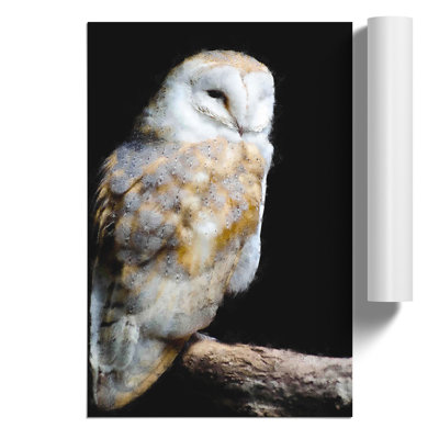 Barn Owl Painting - Frameless Print
