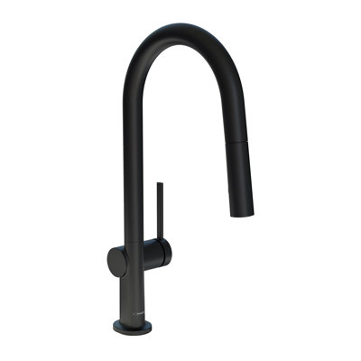 Hansgrohe Talis N A-Style Pull-Down Faucet