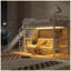 Lit mezzanine simple avec escalier de rangement, glissade et lumière DEL, finition blanche