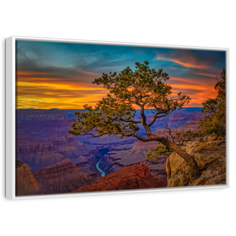 Genévrier du Grand Canyon, Cadre flottant blanc, 43 po x 29 po