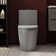 Modern One Piece Toilet,Elongated Toilet Power Dual Flush 1.1/1.6 GPF,Comfortable Seat ADA Height