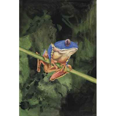 «Lenia Watercolor Tree Frogs III» sur toile par Michael Willett, reproduction