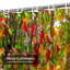 Rideau de douche orange, vert, rouge, automne, feuillage d'automne, parc de jardin, vert forêt avec 12 crochets-1974209107