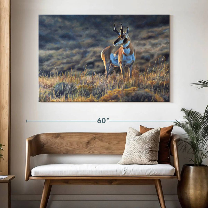 Brampt Pronghorn Pride, 34" H x 51" W