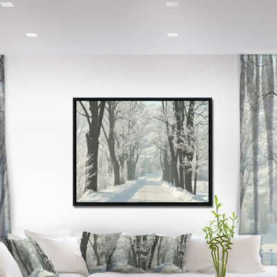 «Country Road Entre Foggy Trees», photographie