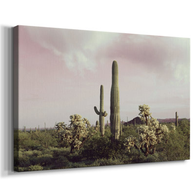 Orgue, tuyau, cactus, Monument national, galerie, Cavas