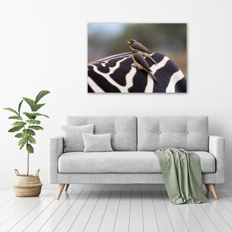Birds And Zebra - Wrapped Canvas Print