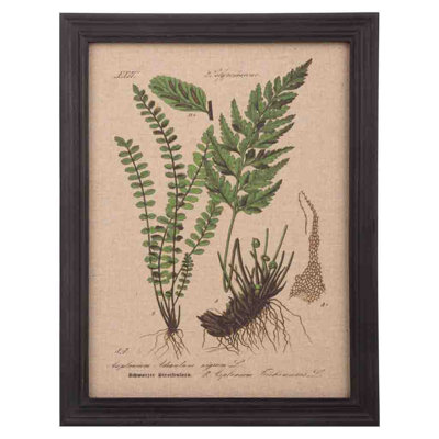 Single Picture Frame Print