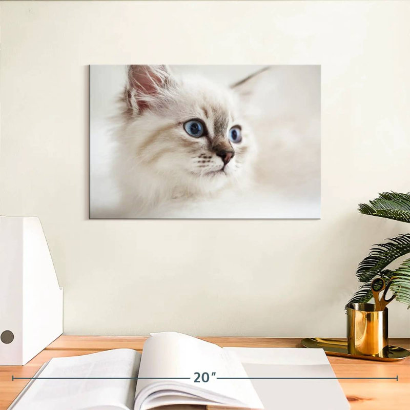 Brampt Neva Masquerade Cat, 8" H x 12" W