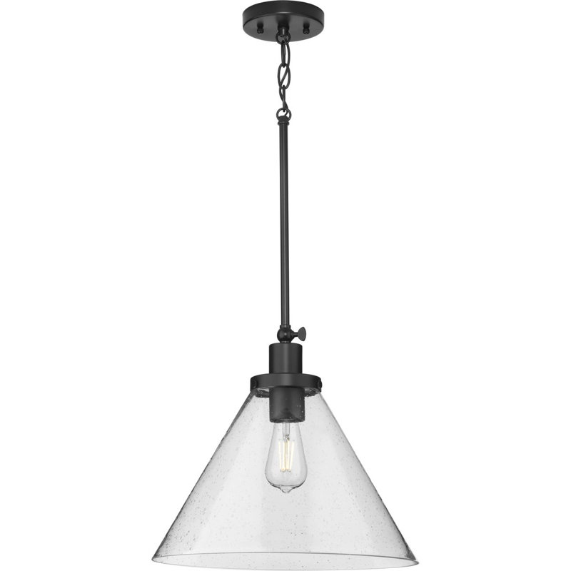Luminaire suspendu conique à 1 lumière Haydenville, Martelée transparente, Noir mat