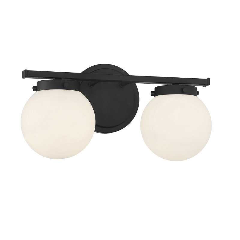 Raelyn 2-Light Dimmable Vanity Light in Matte Black, White, Matte Black