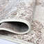 Chakra Oriental Area Rug-2002666470
