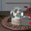 Boule à neige musicale 5 "Colombes blanches sur une branche