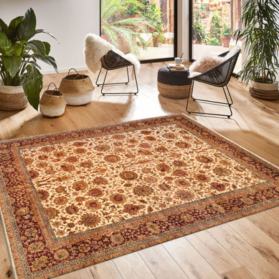 Crown Jewel Agra Hand Knotted Wool Oriental Indoor Rug
