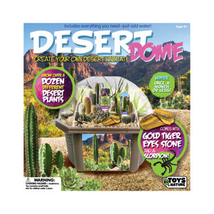 Toys By Nature 1 Player S.T.E.M Game