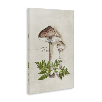 Croquis de champignon et fougère sur toile par Eli Jones