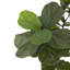 Faux Fiddle Leaf Tree-Faux Fiddle Leaf Tree-9'-1085074898