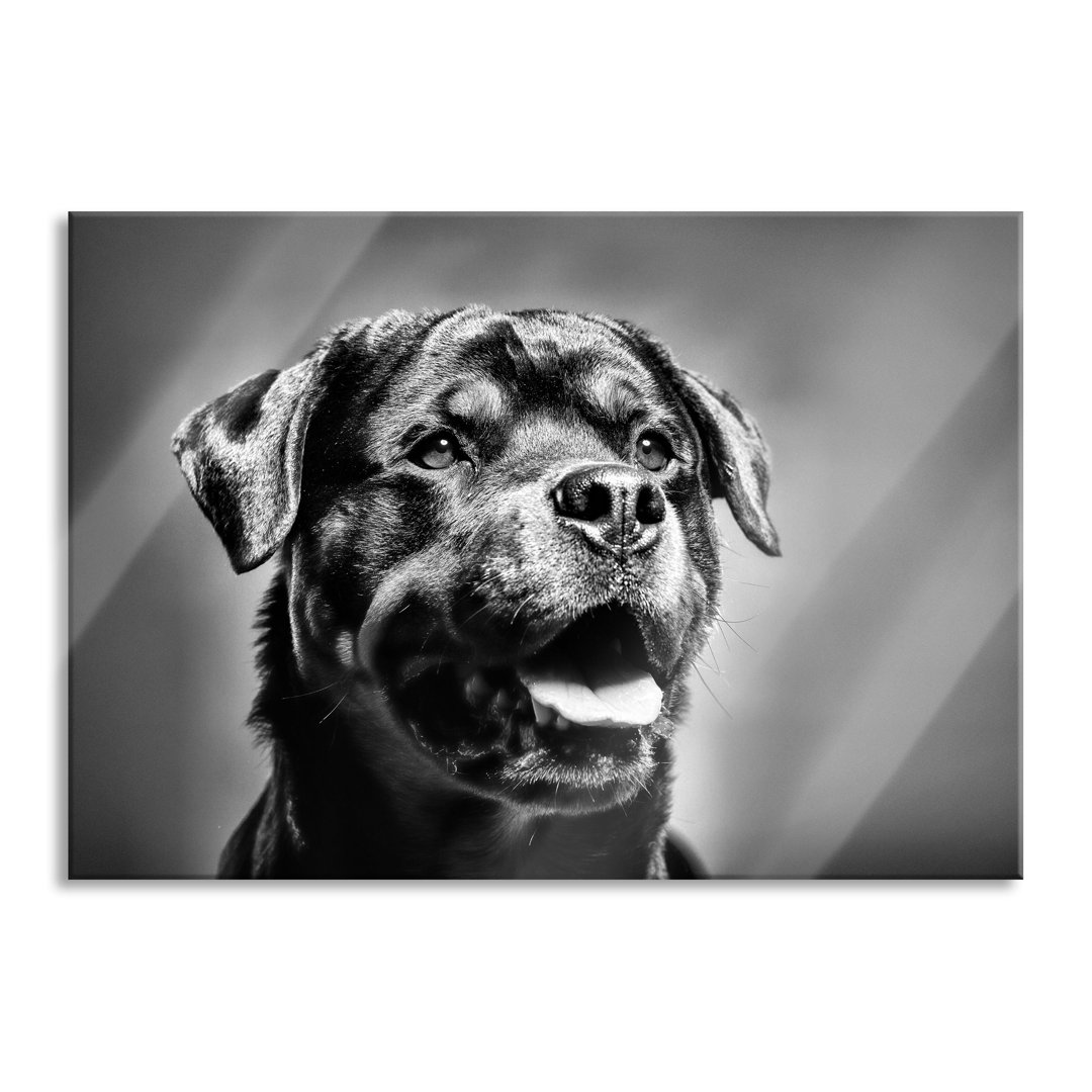 Glasbild Treuer Rottweiler