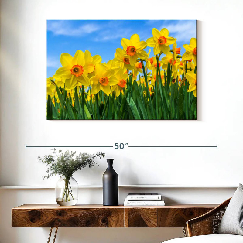 Dutch Master Daffodils, H 26 po x l 39 po
