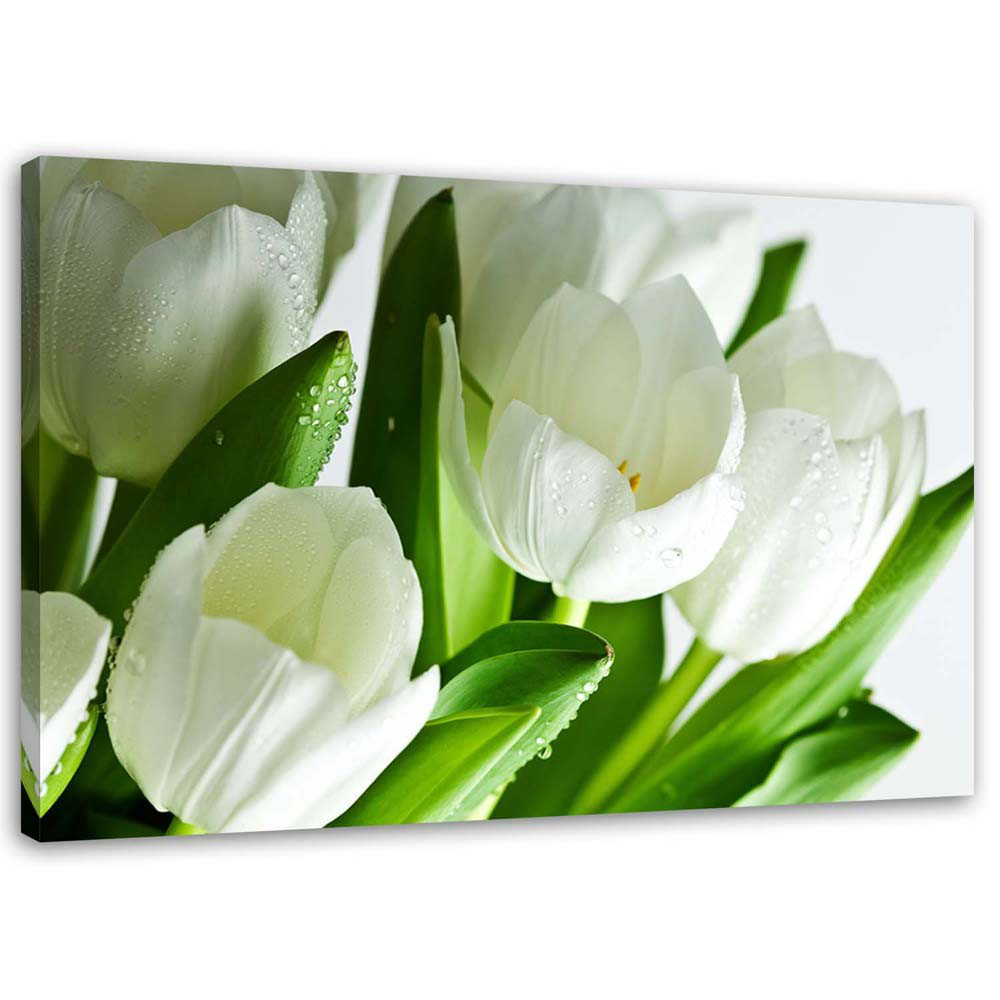 Leinwandbild White tulips