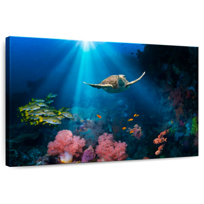 Brampt Ocean Underwater