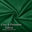 Luxurious Plain Velvet Cushion Covers (Set Of 2)-1625199597