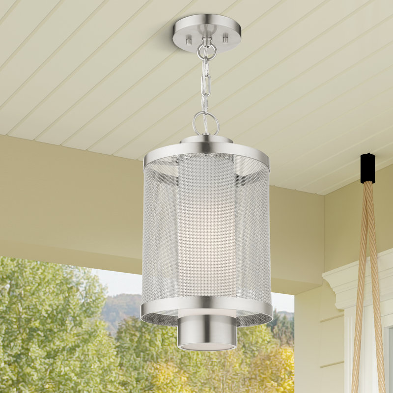 Lanterne suspendue d'extérieur Zebra, H 16,87 po x l 9 po x P 9 po, Nickel brossé